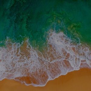 Meet your Posher, Chad